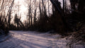Snowing Day