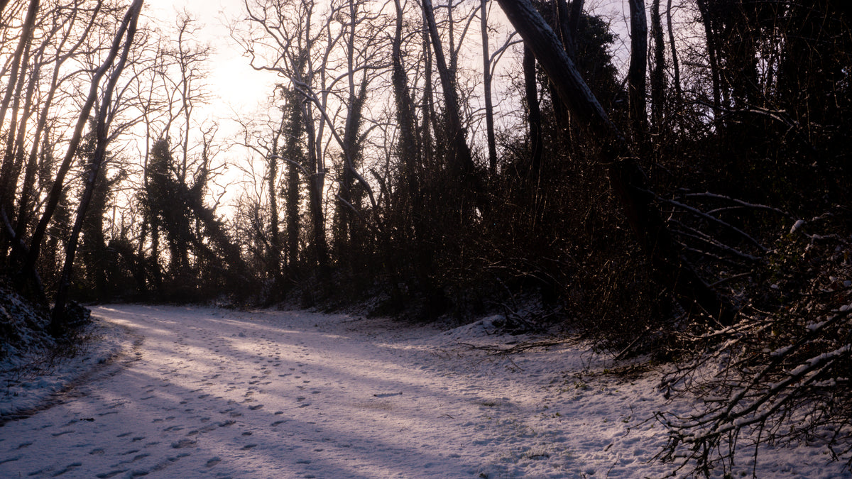 Snowing Day
